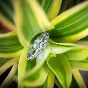 Alex Sepkus Submarine Band