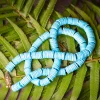 Alex Sepkus Turquoise Slice Necklace