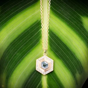 Erika Winters Hexagon Necklace