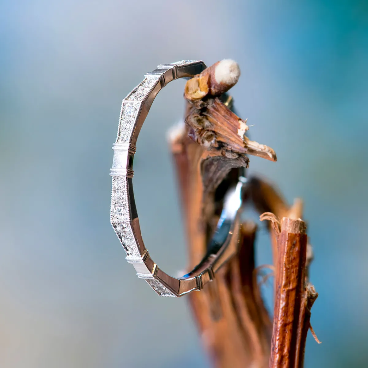 erika_winters_imogen_band_1.webp Erika Winters Imogen Band in Platinum