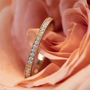 Erika Winters Isabella Band