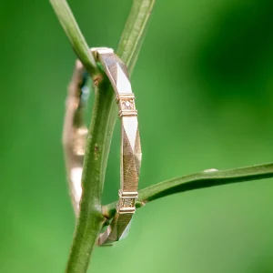 Erika Winters Viola Band