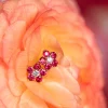 Alchemy Ruby Flower Earrings