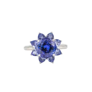 Alchemy Tanzanite Trillium Halo Ring