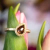 Todd Reed Fancy Colored Diamond Yellow Gold Ring