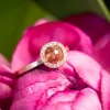 Todd Reed Fancy Colored Diamond Rose Gold Ring